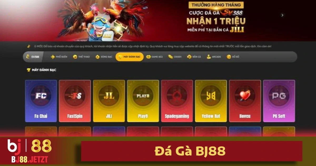 Đá Gà BJ88 1 Trải nghiệm đá gà BJ88 livestream đỉnh cao