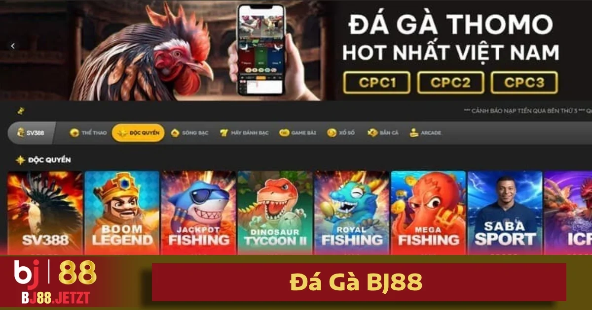 Đá Gà BJ88 2 đá gà BJ88 còn sở hữu các công nghệ livestream độc quyền giúp giảm thiểu tối đa các gián đoạn, đảm bảo trận đấu diễn ra liên tục và mượt mà.