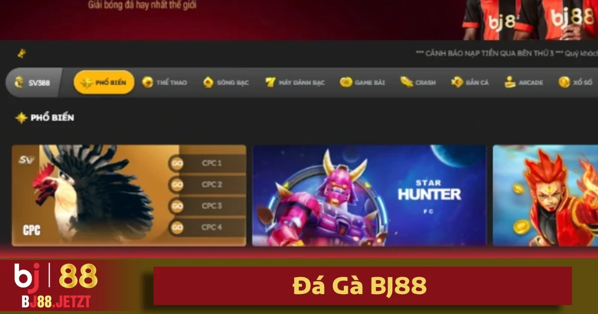 Đá Gà BJ88 3 Cách đặt cược đá gà Thomo, Campuchia đơn giản