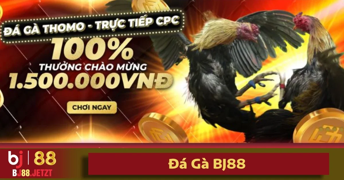 Đá Gà BJ88 4 Cách đặt cược đá gà Thomo, Campuchia đơn giản tại nhà cái BJ88